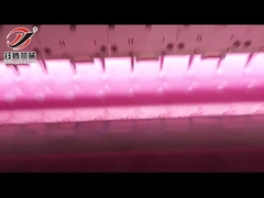 YTX2-34F Yüksek Hızlı Bilgisayarlı Çok İğneli Çöp nakış makinesi